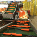 ქარხანა უშუალოდ მიეწოდება Fresh Carrot